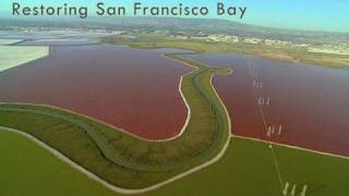 Saving the Bay - Restoring San Francisco Bay: Hamilton Field