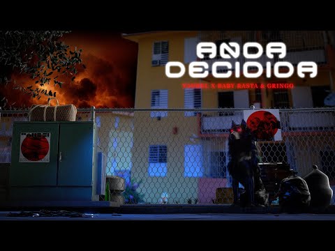 Yandel Ft. Baby Rasta y Gringo –  Anda Decidida (Visualizer Oficial) | Resistencia