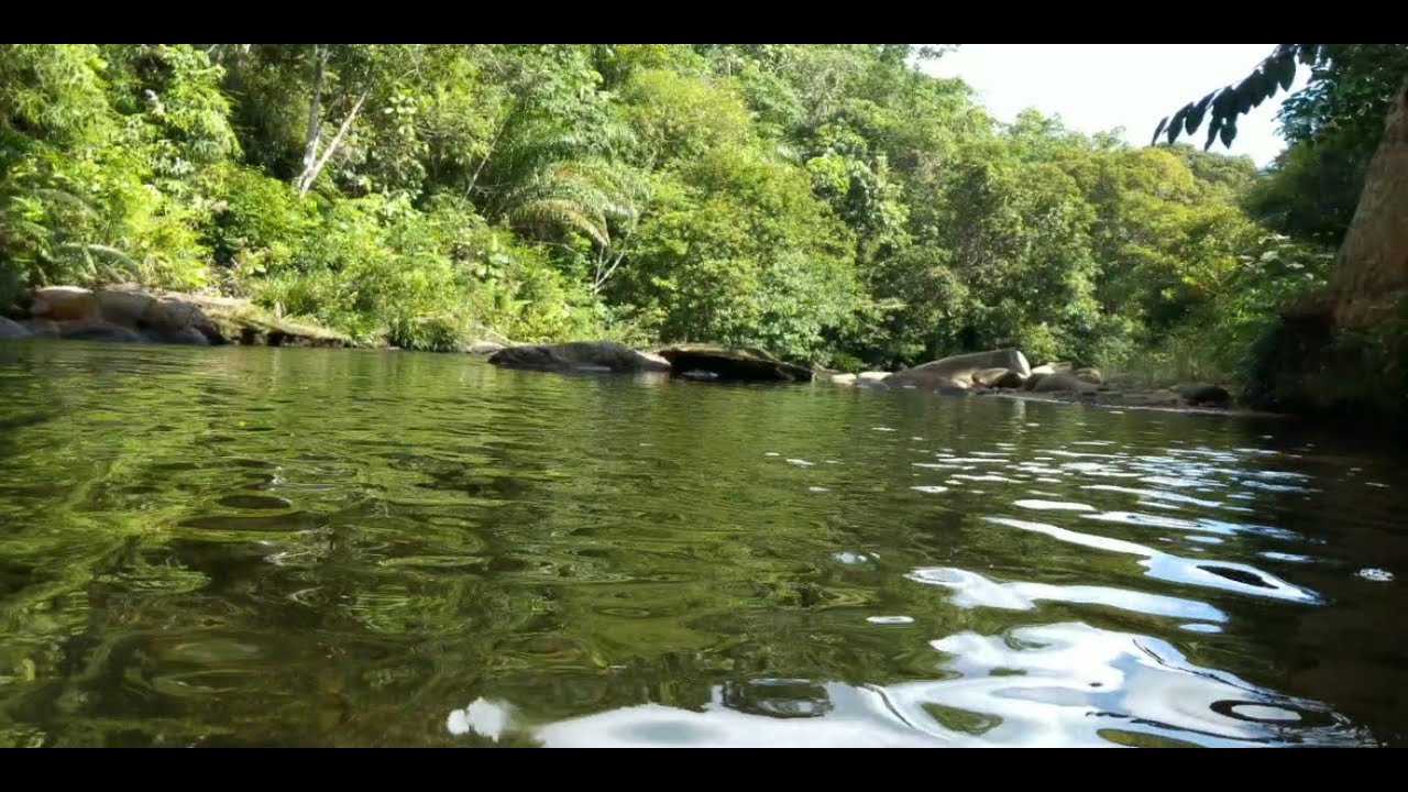 Escape to Nature ~ Rhythmic River & Birdsong for Relaxing, Deep Sleeping,  Focusing | Best Sound