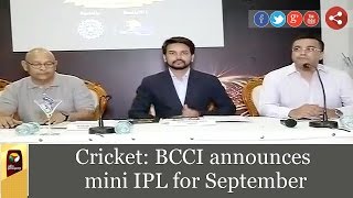 Cricket: BCCI announces mini IPL for September screenshot 5