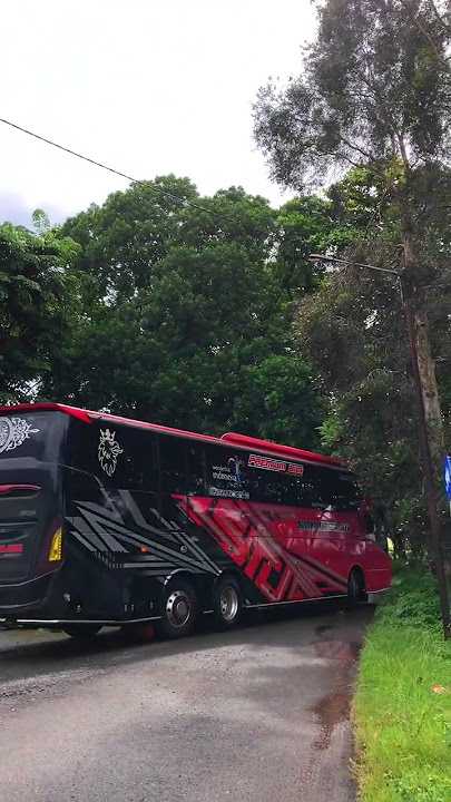 era prime stj samoa viral sragen-poris 5jam #shorts #busmania #fyp #scania #stj #viral #trending