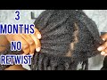 3 Months No Retwist On Locs ! Here's What Happened