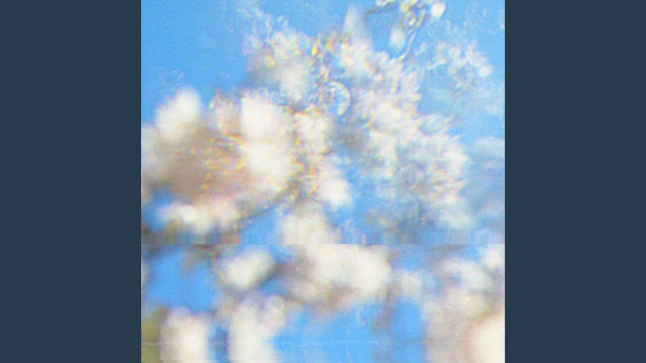Watch dandelion on YouTube Watch dandelion on YouTube