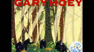 Video thumbnail of "Gary Hoey - Animal Instinct"