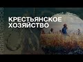 Крепостное право и рабство. Елена Корчмина. Родина слонов №235