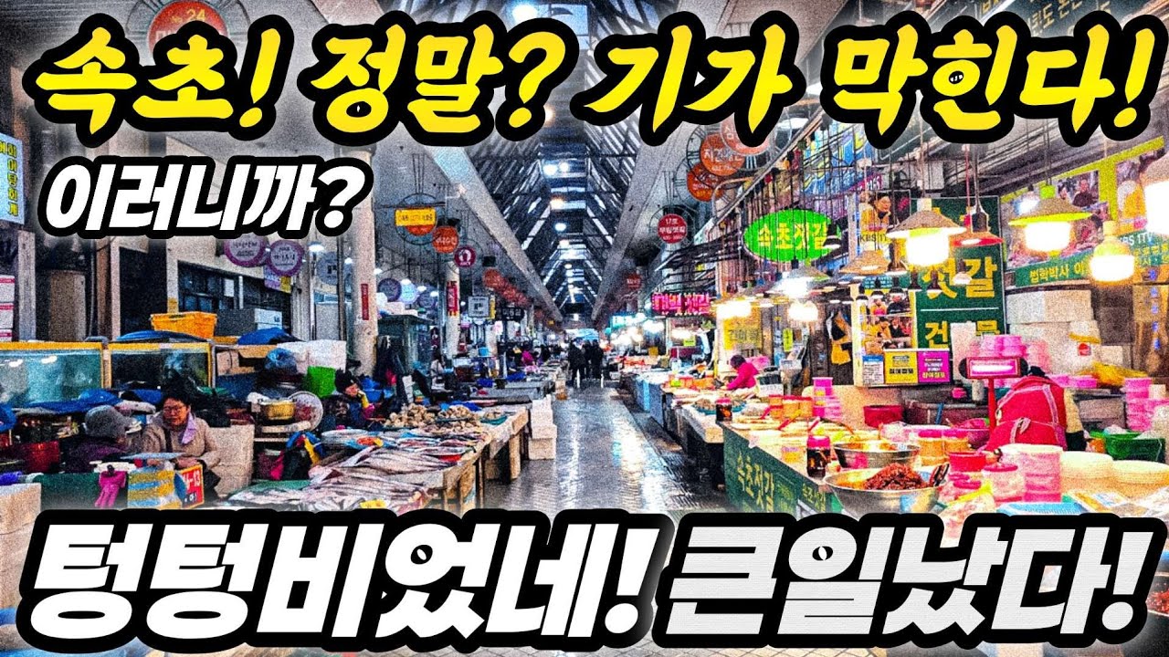 속초! 이러니까! 정말 기가 막힌다! 텅텅비었네! 큰일났네! 어쩌다!  #속초 #강원도 #국내산 #fishing #쇼핑 #먹거리 #먹방 #폭락 #세일 #할인 #바가지 #뉴스