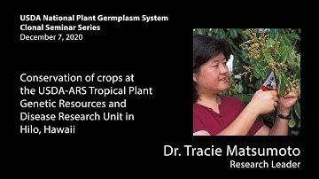 Conservation of Crops with Dr. Tracie Matsumoto | NPGS Seminar Series