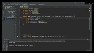 Instance or Member Variables - Access Control in Java