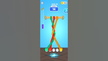 Tangle Master 3D Level 213