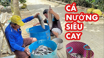 CÁ TRÊ KHỦNG NƯỚNG SIÊU CAY "Lai Rai" Ngoài Vườn Nhà Dượng Sáu | Bông Lúa Đồng Tháp
