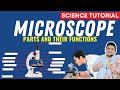 Microscope parts and functions  science 7 quarter 2 module 1