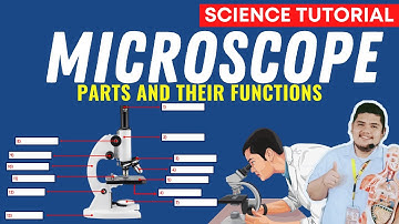 MICROSCOPE PARTS AND FUNCTIONS | SCIENCE 7 QUARTER 2 MODULE 1