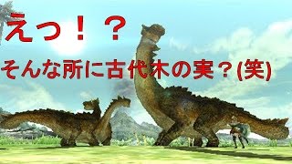 モンスターハンタークロス Mhクロス 古代木の実はココにある こんな所にあるなんて Youtube モンスターハンタークロス Mhクロス 古代木の実はココにある こんな所にあるなんて Youtube