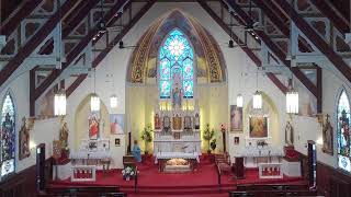 Our Lady of Ostrabrama: 9:30pm Mass - 14th Sunday in Ordinary Time 7/5/2026