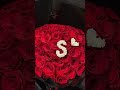 To my forever rose, my husband, you make every day feel like Rose Day. 🌹💖 #roseday #youtubeshorts