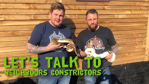 Neighbours Constrictors Raw and Uncut