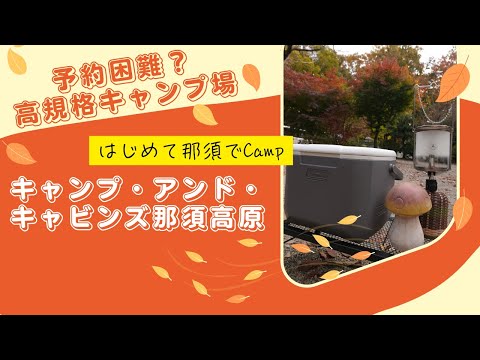 那須でCampでもしちゃう?|人気キャンプ場キャンプ・アンド・キャビンズ那須高原|最高すぎるサイトで楽々キャンプ