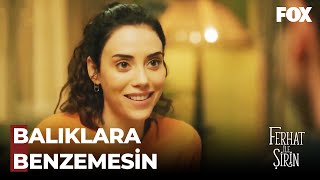 Çok Şanslısın Ferhat... - Ferhat Ile Şirin