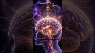 ✨ MANIFESTATION FACT: Your Brain Cannot Tell Reality from Imagination #Shorts