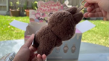 I Found The Most Wanted LABUBU !!!✨😱 Labubu Macarons Fullset Unboxing