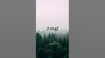 قَالَ رَبِّ إِنِّى دَعَوْتُ قَوْمِى لَيْلًا وَنَهَارًا - ماهر المعيقلي - سورة نوح .