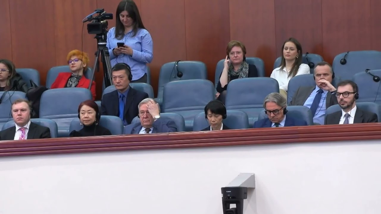 Државата мора да издвои повеќе пари ако сака да се справи со семејното насилство