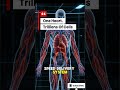Your HEART ❤️‍Beats 1000 Times A Day❤️‍❤️‍🩹#HumanBody#Heart #heartbeat #HumanAnatomy#healthylifestyl