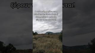 Όταν ο ξένος σε συμπονά #μαντινάδεσ  #μαντινάδα #μαντινάδες #συγκίνηση #ανθρωπιά  #αλήθεια #shorts