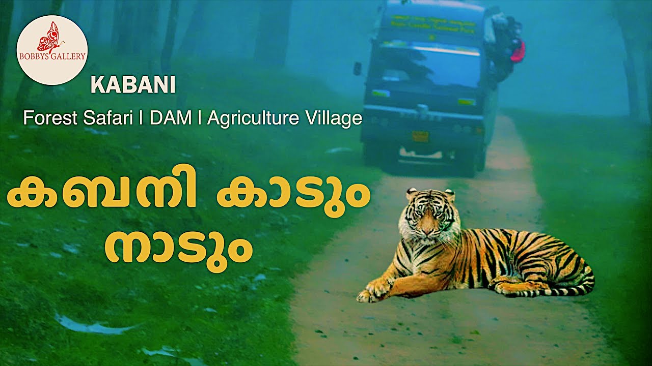 KABANI Forest Safari | കബനി കാടും നാടും | KABANI DAM | Bobbys Gallery