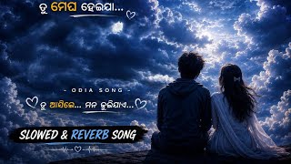 Tu Megh Heija☁️❤️‍🩹🕊️Odia Slowed & Reverb Song||Human Sagar Asima Panda Romantic Song ❤️