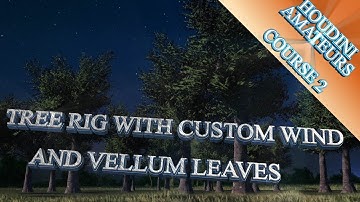 Houdini tree rig + vellum leaves tutorial