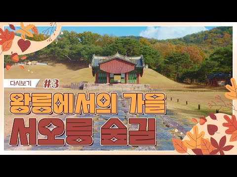 조선왕릉 가을 숲길 하이라이트 | EP.3 인현왕후의 눈물이 서린 곳, <strong>서오릉</strong>(SUB) | 🎁이벤트🎁