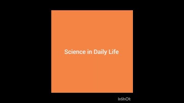 HSLC 2024 Common Essay II HSLC Exam Essay