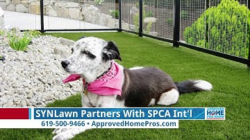 Explore American-Made SYNLawn