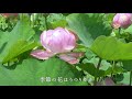 宮城県曹洞宗青年会 「まごころにいきる」―これからも―