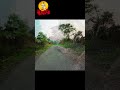 Ram Dholokpur Tea Garden &amp; A Suspense Story Shorts 14 #teagarden