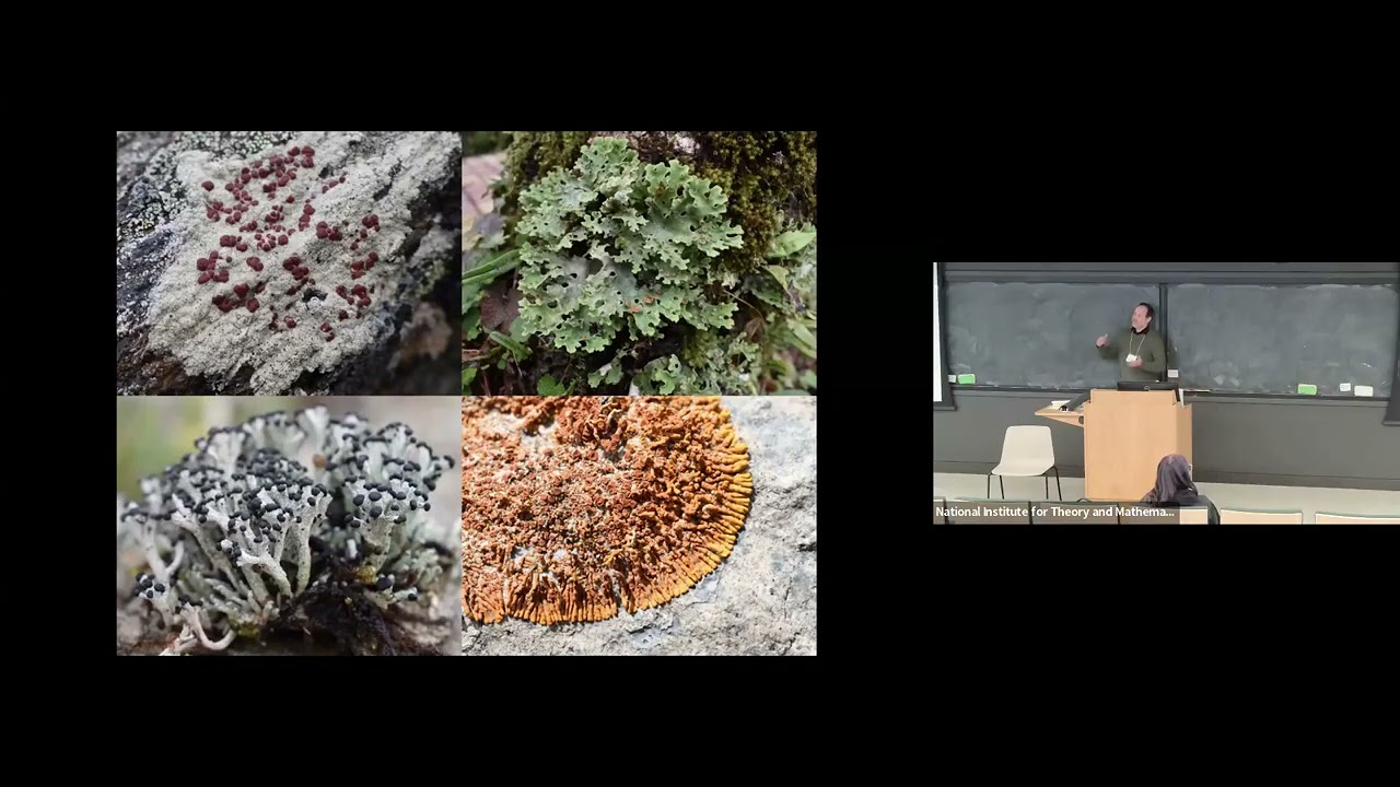 Do evolutionary legacies structure lichen symbioses? | Matthew Nelsen