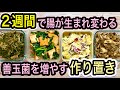 【2週間で激変】善玉菌が増える簡単作り置きレシピ4品!腸が元気になると嬉しい効果5つ