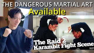 JAPANESE KARATE GUY REACTION / [BEST!] The Raid 2 Karambit Fight Scene