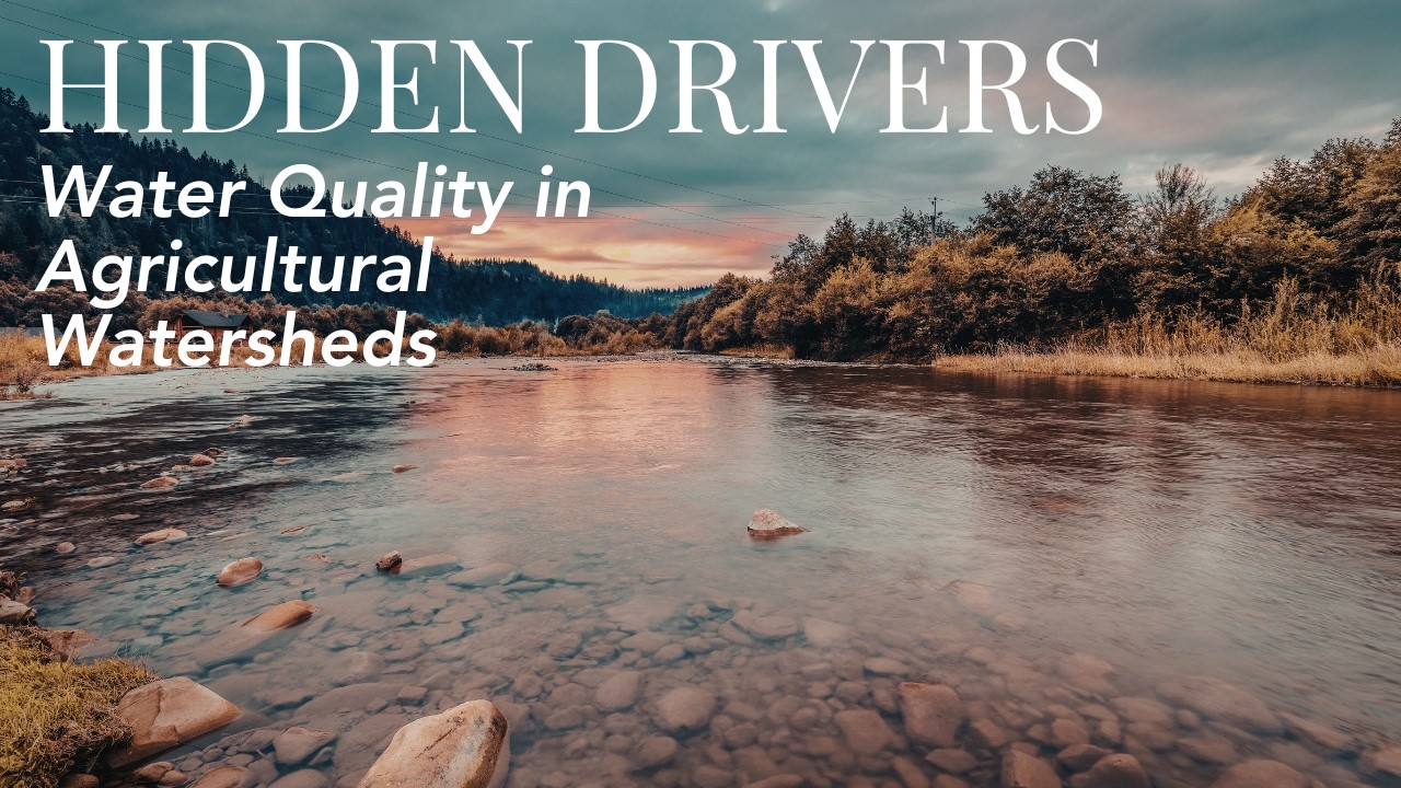 Dry Spells and Dirt Roads: Hidden Drivers of Water Quality | Dr. Shannon Speir