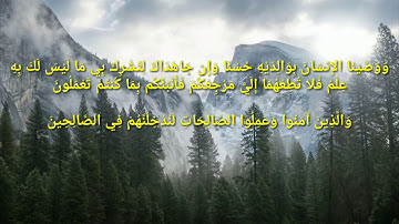 سورة العنكبوت  تلاوة خاشعة صوت جميل.
