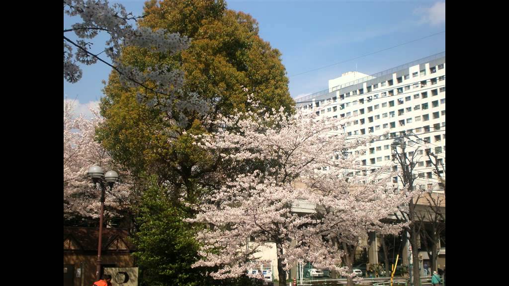 みんなのうた　ふたごのオオカミ大冒険