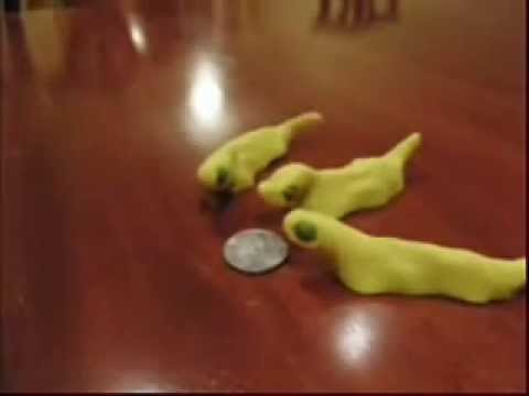 Clay mation-Beamers