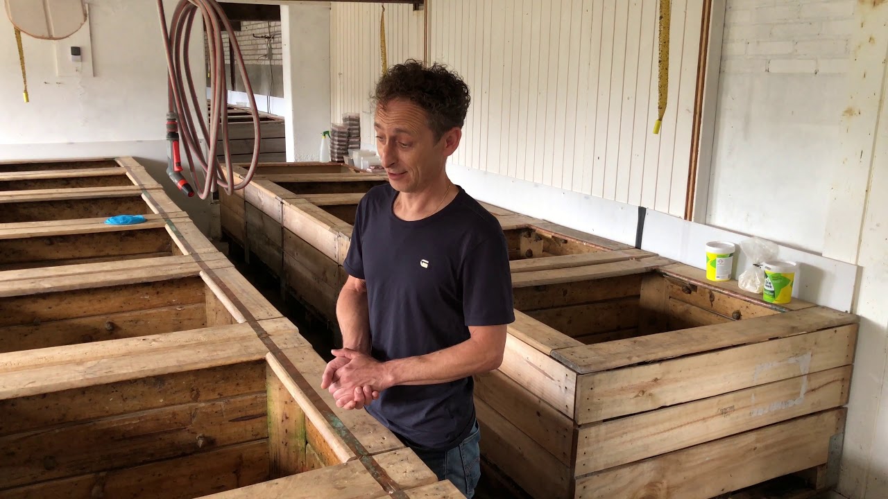 Op bezoek bij de Zeeuwse Slakkentuin in Middelburg, 10 augustus 2019