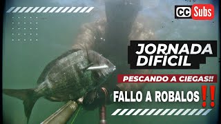 ✔Pesca Submarina GALICIA🌊JORNADA DIFÍCIL con BUENA PESCA🎯Sargos y FALLO de ROBALOS‼