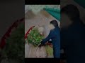 28 января 2026 г.