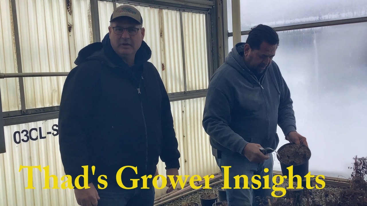 2 3 26 Thad's Grower Insight's