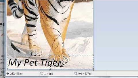 How to Upload images and Files with Filezilla FTP Client