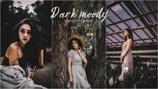 How to edit Dark Moody effect on Lightroom mobile | free Lightroom preset