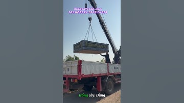 Chậu xi măng 1m6 x2m3 -0962136986 #caycongtrinh #gardening #garden #chauximang